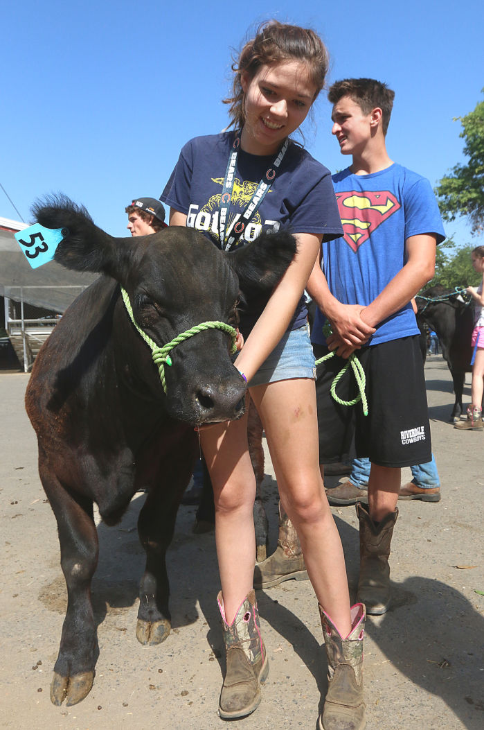 Youth activities at Kings Fair